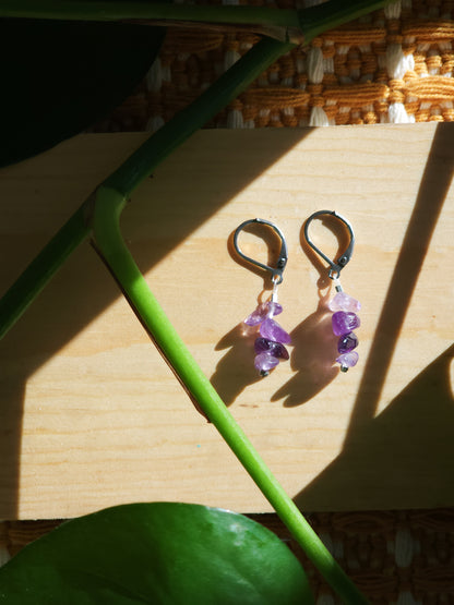 Trail-Tested Adventure Earrings | Amethyst