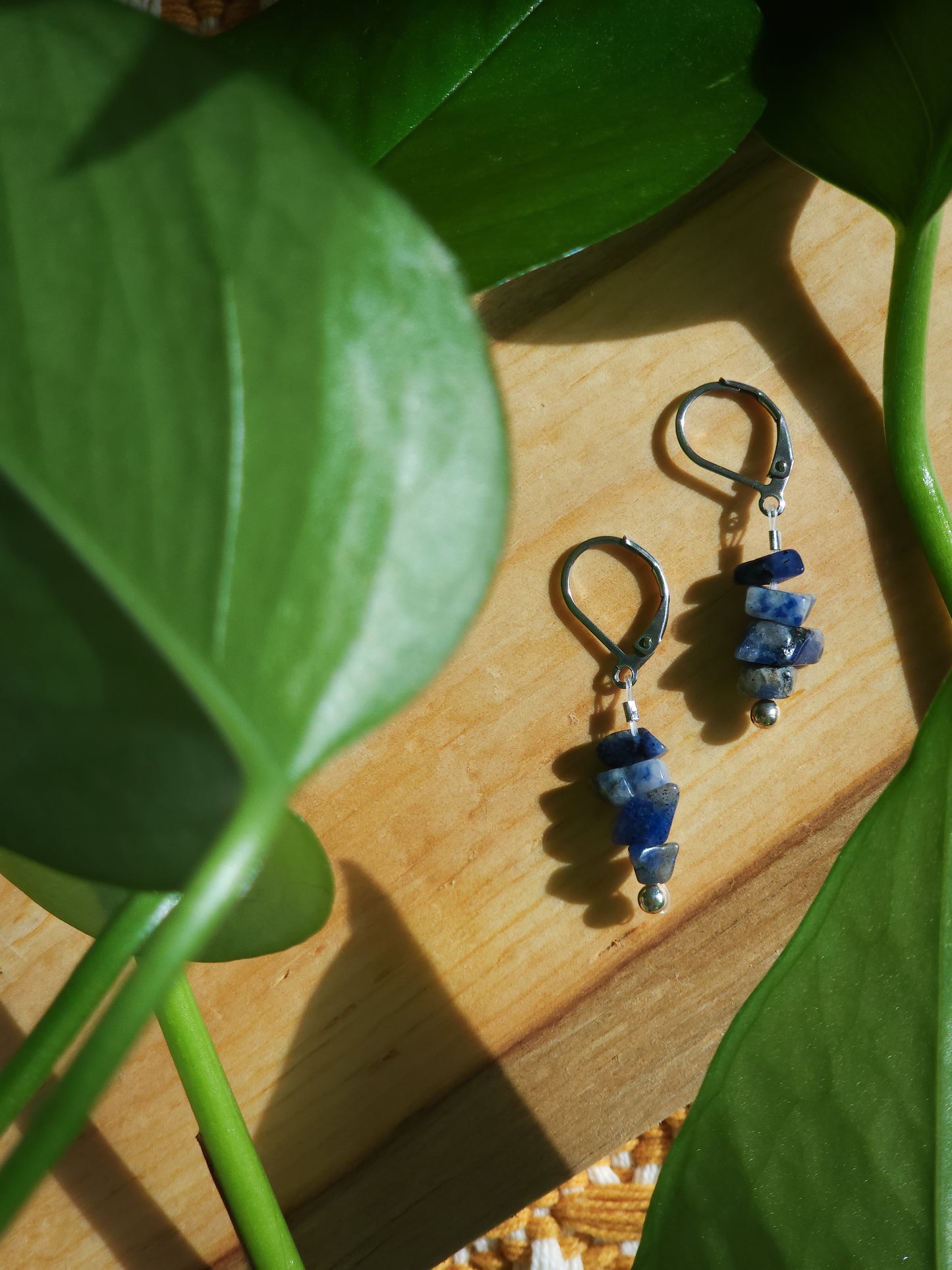 Trail-Tested Adventure Earrings | Sodalite