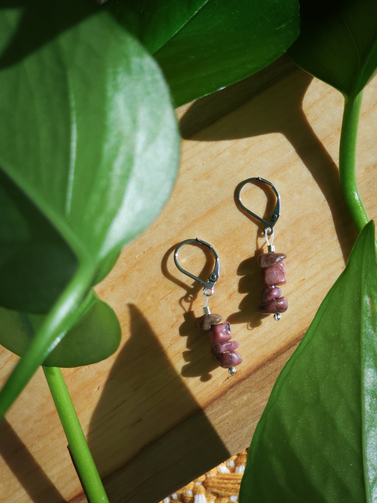 Trail-Tested Adventure Earrings | Rhodonite