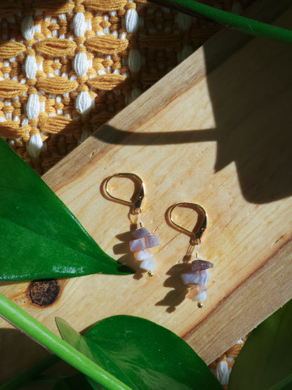 Trail-Tested Adventure Earrings | Botswana Agate