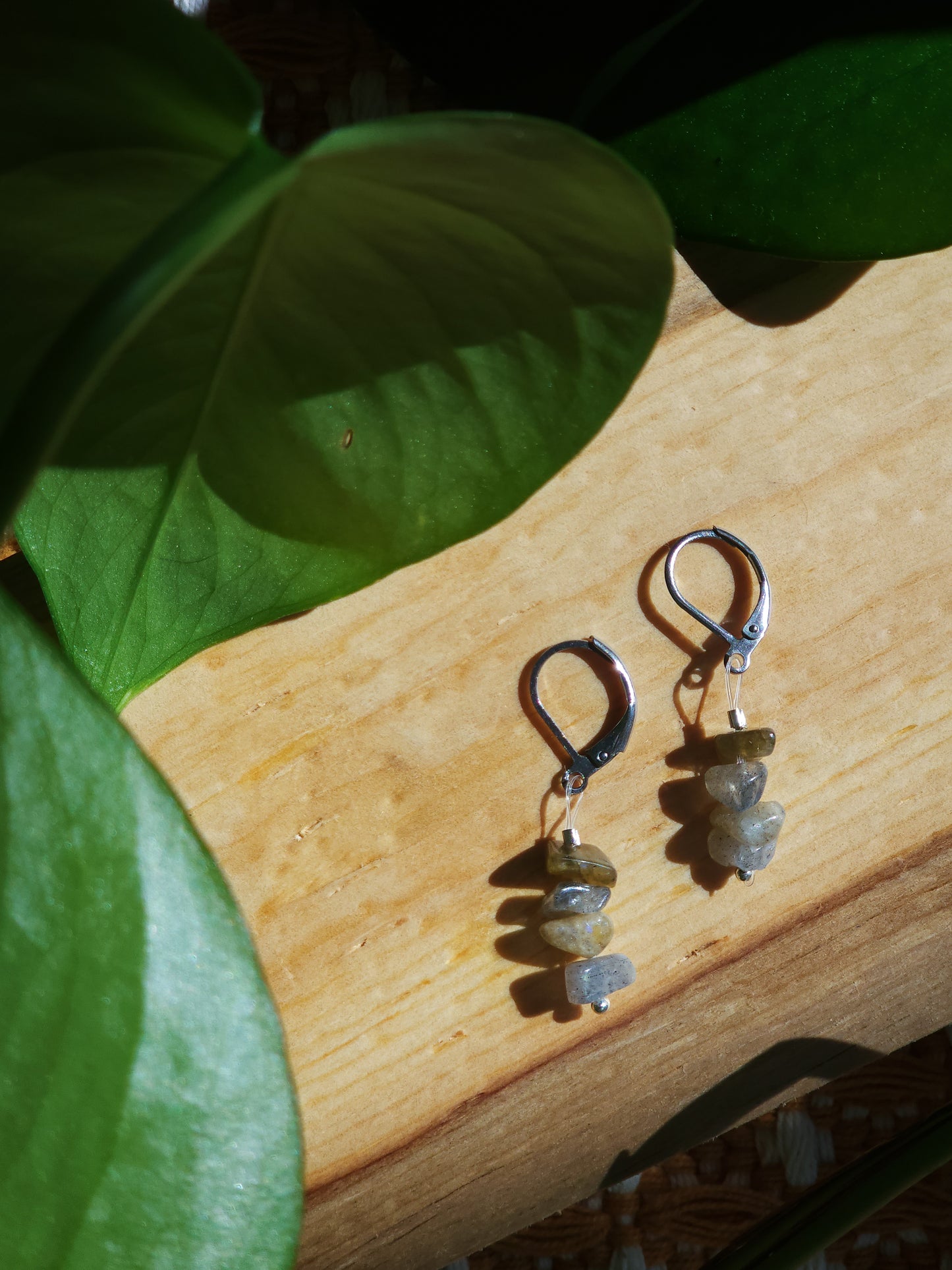 Trail-Tested Adventure Earrings | Labradorite