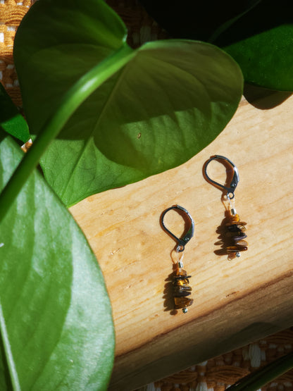 Trail-Tested Adventure Earrings | Tiger's Eye