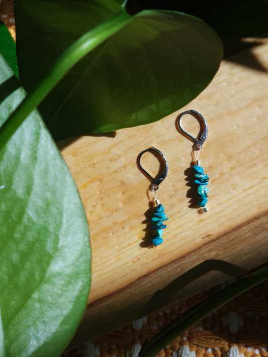 Trail-Tested Adventure Earrings | Turquoise