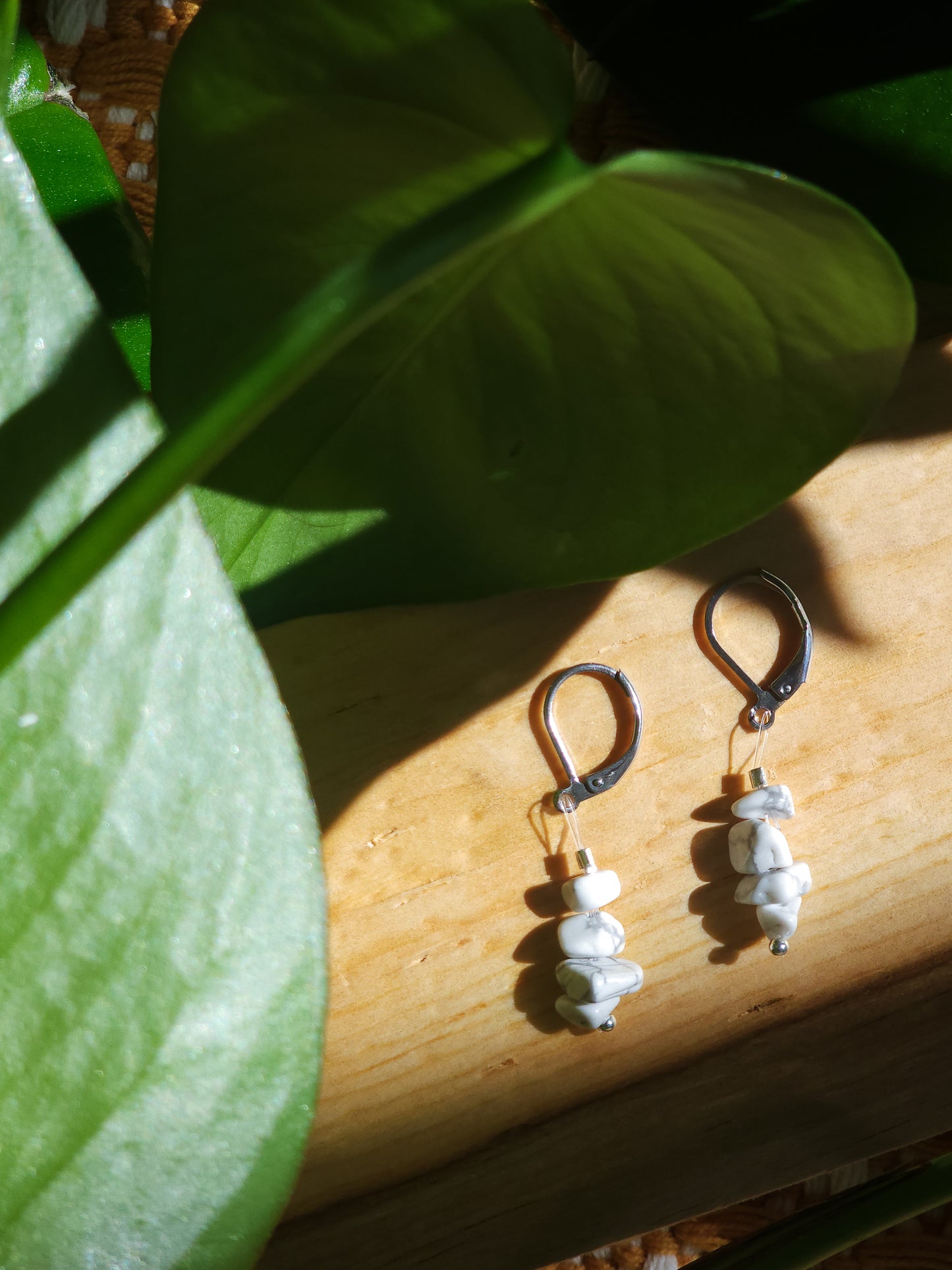 Trail-Tested Adventure Earrings | Appalachian Trail "White Blaze"