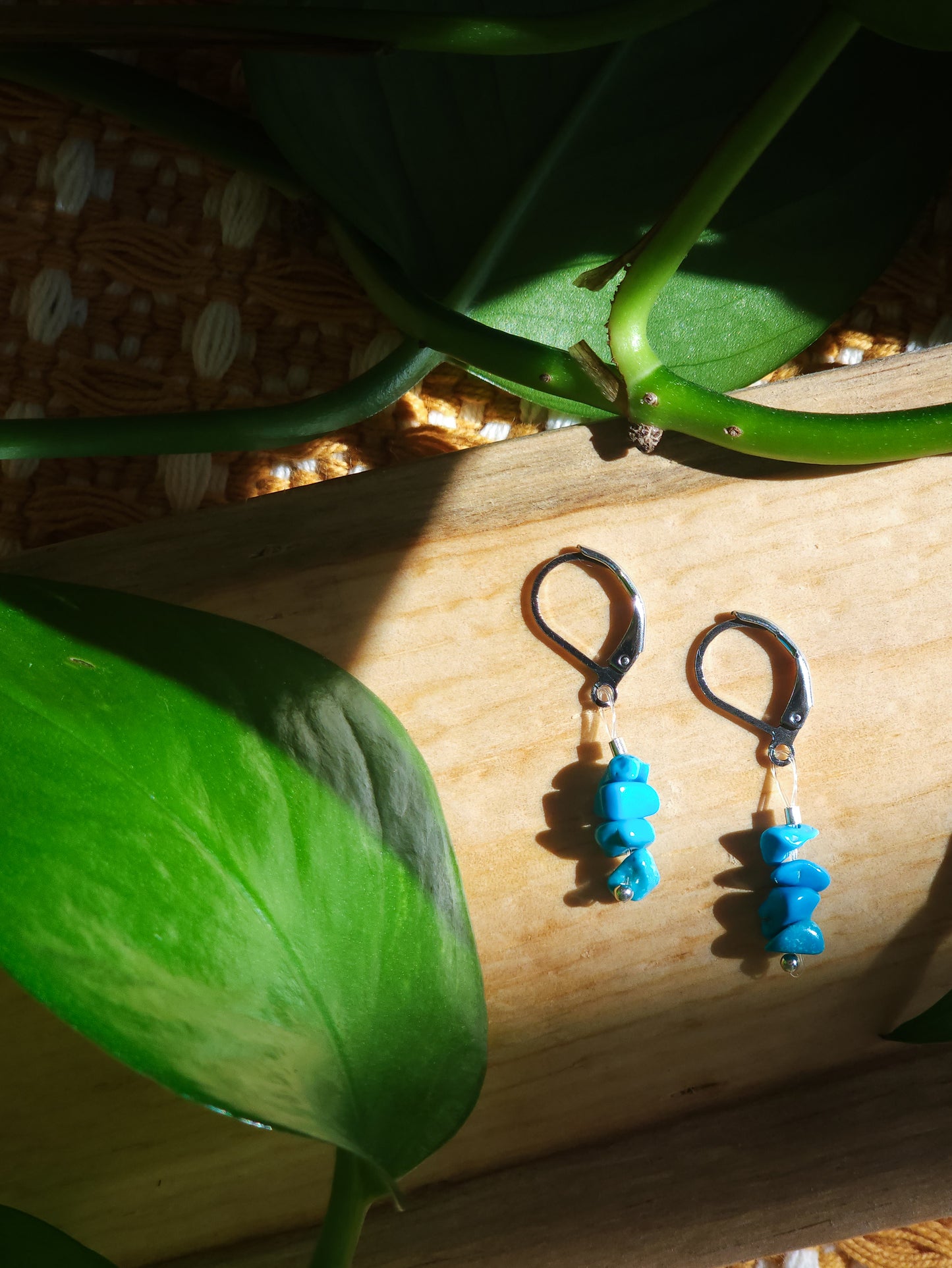 Trail-Tested Adventure Earrings | Plateau